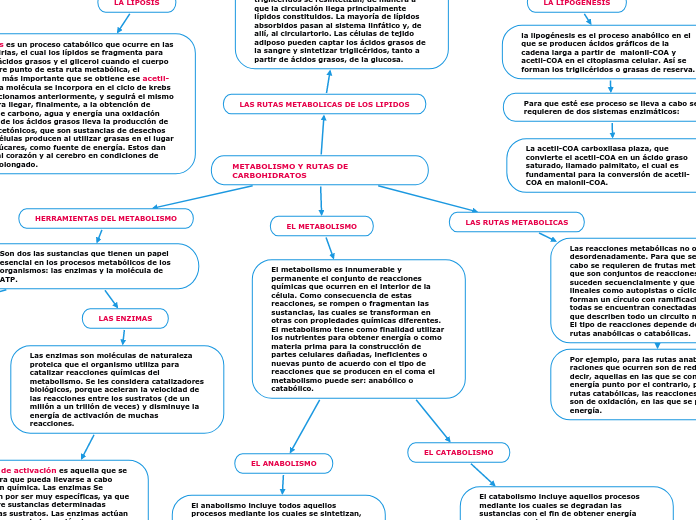 METABOLISMO Y RUTAS DE CARBOHIDRATOS 