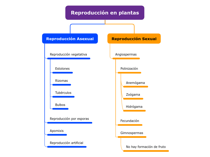 Organigrama arbol