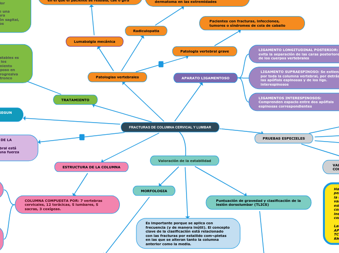 FRACTURAS DE COLUMNA CERVICAL Y LUMBAR