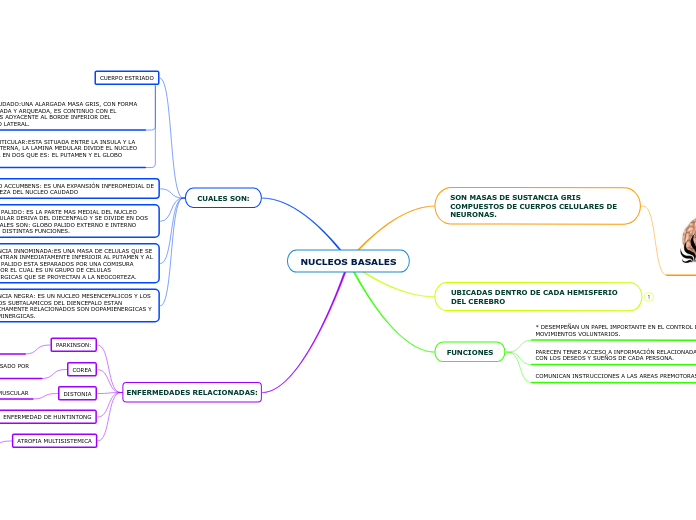 NUCLEOS BASALES