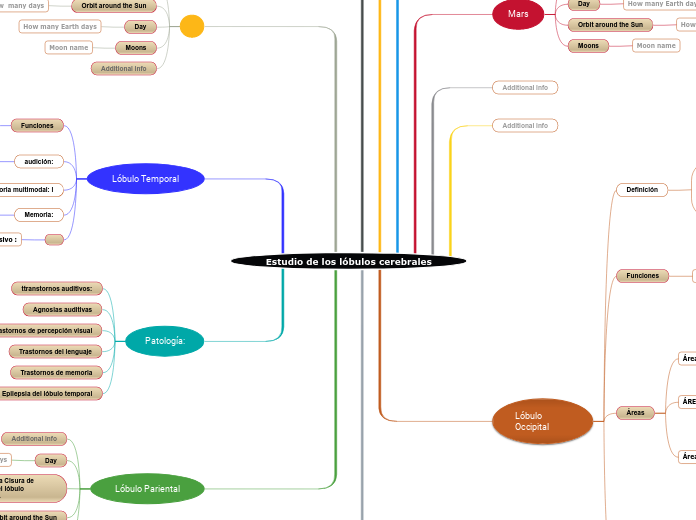 Estudio de los lóbulos cerebrales