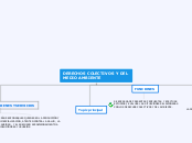 DERECHOS COLECTIVOS Y DEL MEDIO AMBIENTE