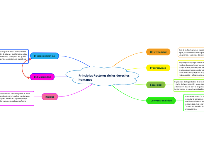 Principios Rectores de los derechos humanos 