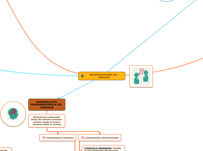 NEUROPSICOLOGÍA DEL LENGUAJE