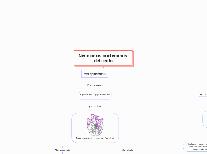 Neumonías bacterianas del cerdo