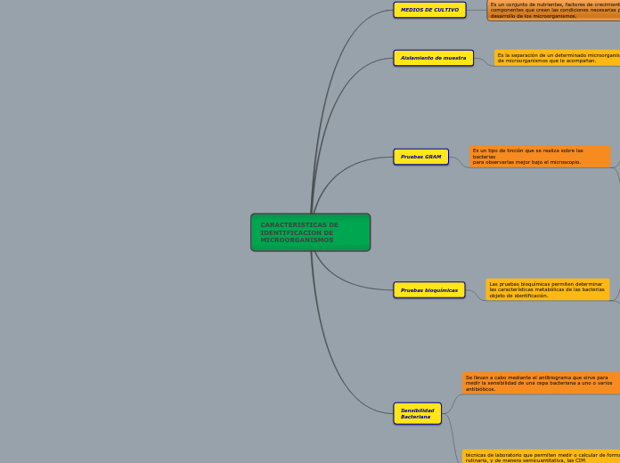 CARACTERISTICAS DE IDENTIFICACION DE MICROORGANISMOS