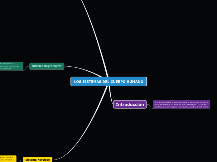 LOS SISTEMAS DEL CUERPO HUMANO