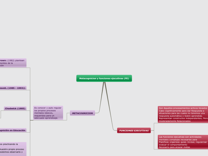 Metacognicion y funciones ejecutivas (FE)