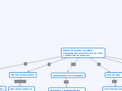 El plan de gestión y gestión integrada del proyecto, ciclo de vida y desarrollo de procesos.