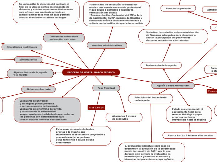 PROCESO DE MORIR MARCO TEORICO