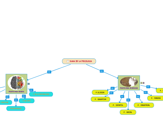 RAMA DE LA PSICOLOGIA
