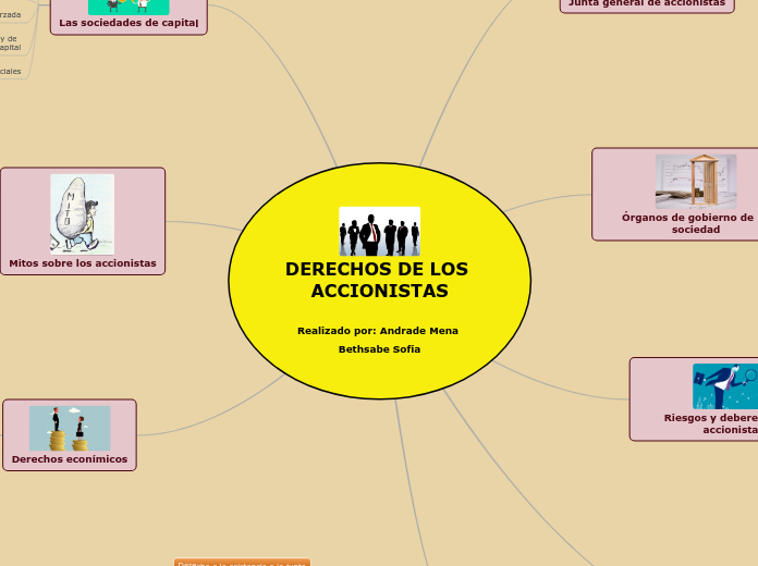 DERECHOS DE LOS ACCIONISTAS