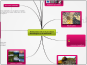 Relaciones entre el producto tecnologico y el ambiente