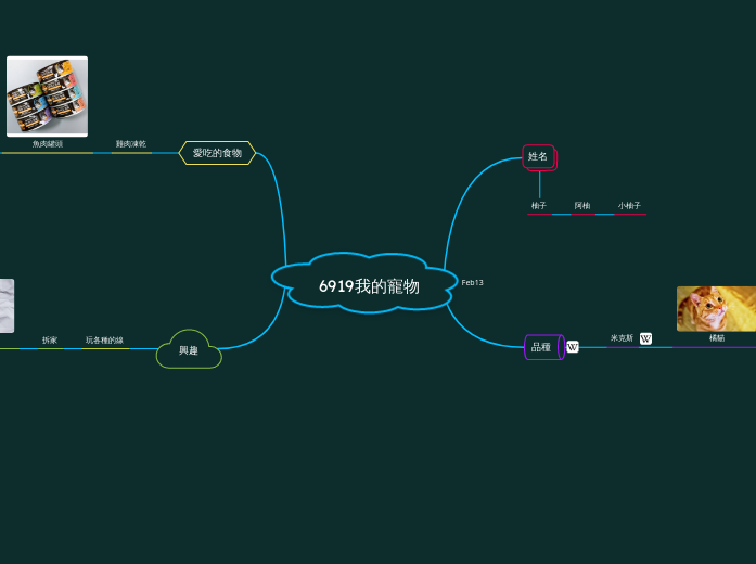 6919我的寵物