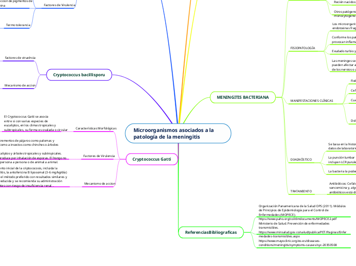 Microorganismos asociados a la patología de la meningitis