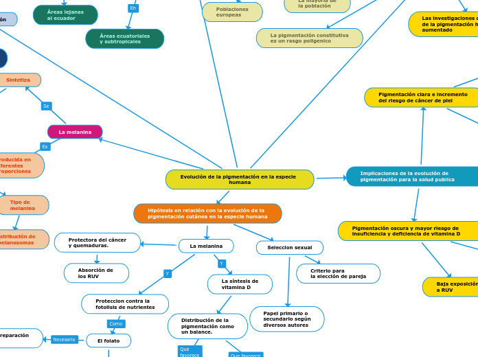 Evolución de la pigmentación en la especie  humana