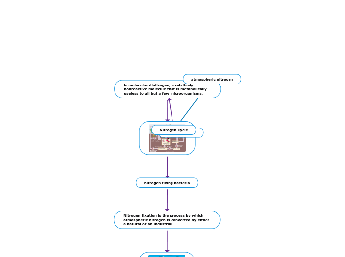 Mind Map Assignment