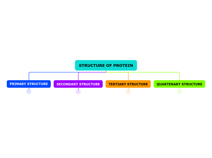 STRUCTURE OF PROTEIN