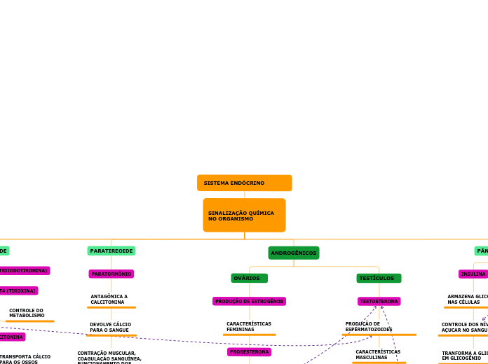 SISTEMA ENDÓCRINO