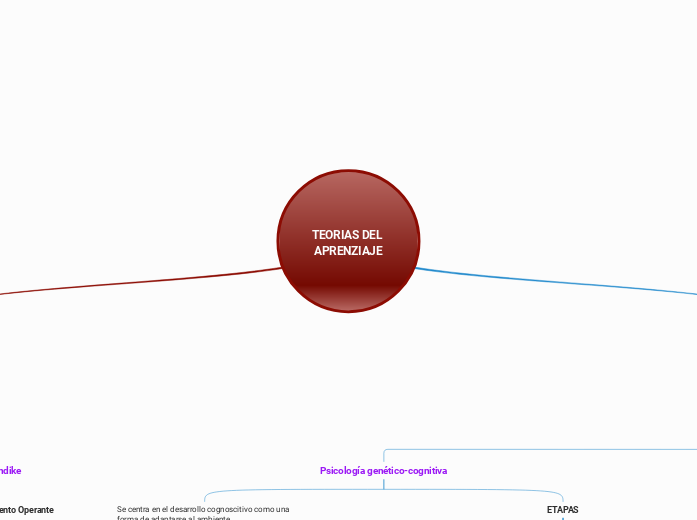 TEORIAS DEL APRENZIAJE