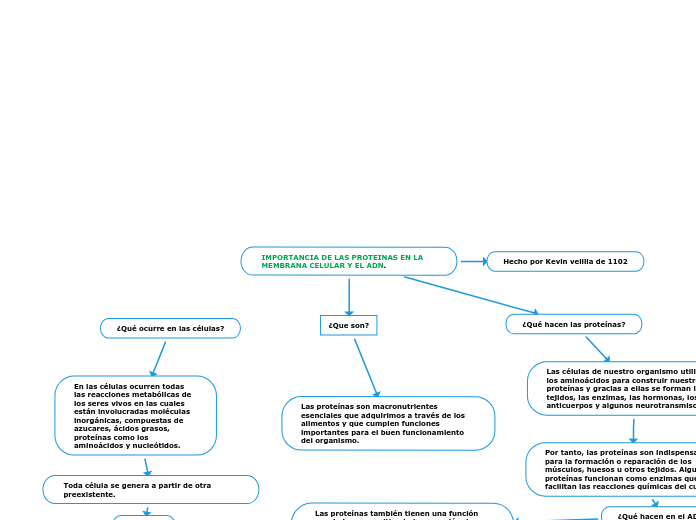IMPORTANCIA DE LAS PROTEINAS EN LA MEMBRANA CELULAR Y EL ADN.