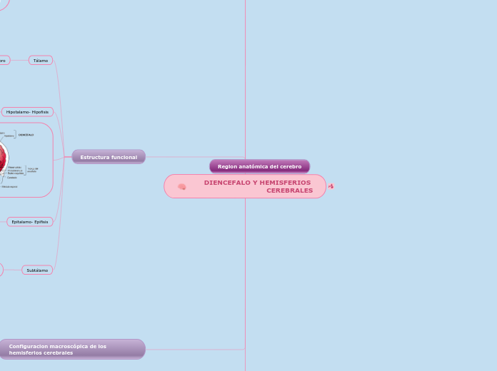 DIENCEFALO Y HEMISFERIOS CEREBRALES