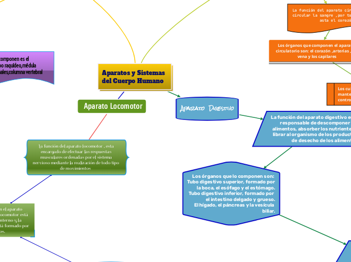Aparatos y Sistemas del Cuerpo Humano