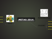 METAS 2014