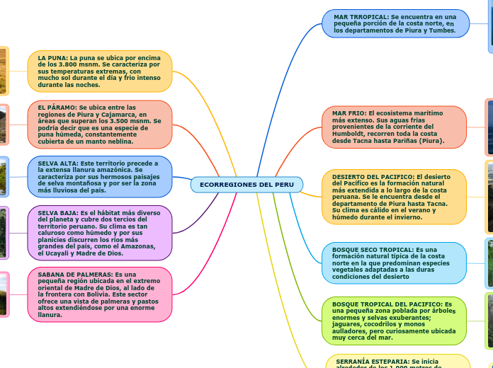 ECORREGIONES DEL PERU