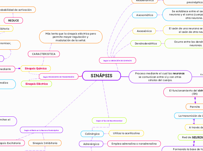 SINÁPSIS