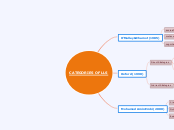 CATEGORIES OF LLS