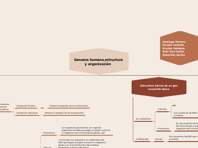 Genoma humano,estructura y organización  