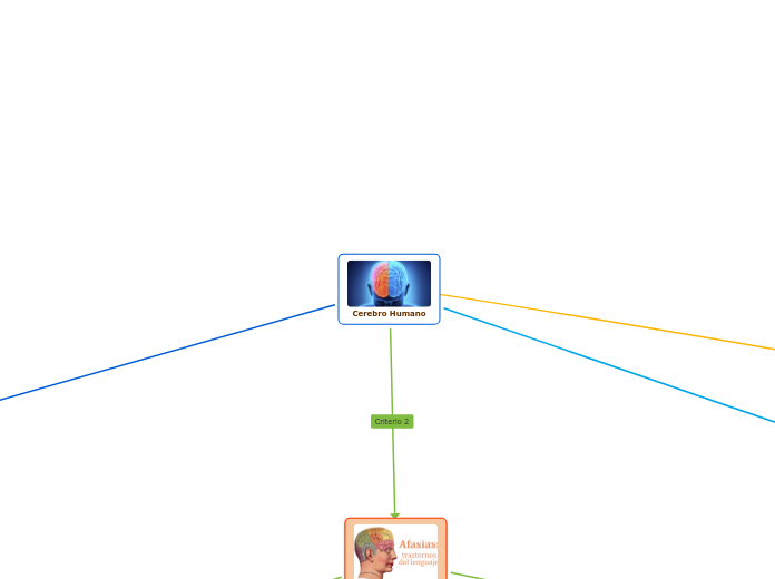 Cerebro Humano