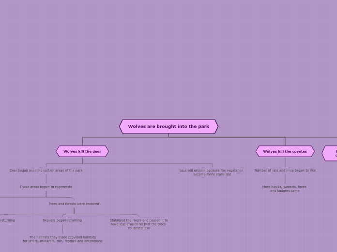 Organigram