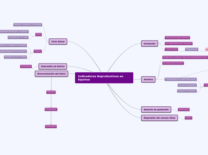 Indicadores Reproductivos en Equinos