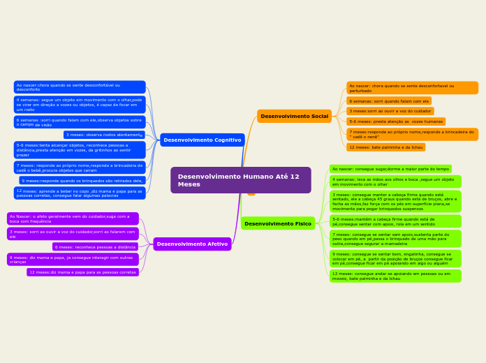 Desenvolvimento Humano Até 12 Meses