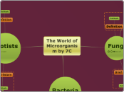 The World of Microorganisms by 7C