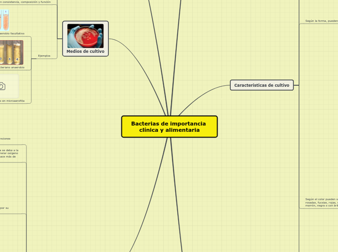 Bacterias de importancia clínica y alimentaria