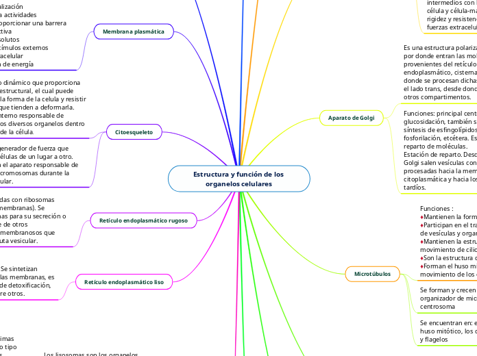 Estructura y función de los organelos celulares