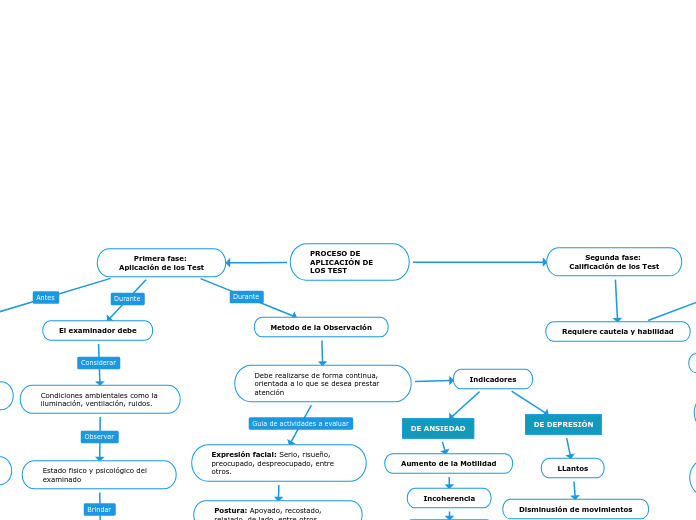 PROCESO DE APLICACIÓN DE LOS TEST