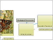  9B Ecological Successio