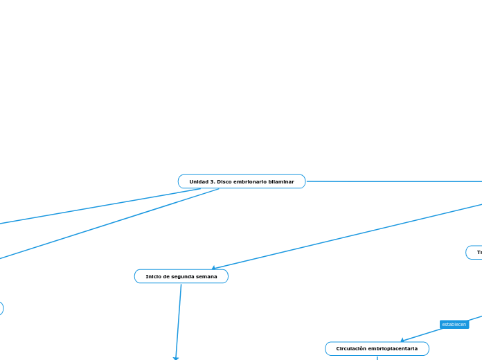 Unidad 3. Disco embrionario bilaminar