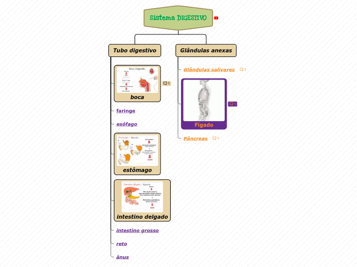 Sistema DIGESTIVO