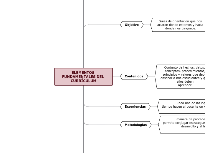 ELEMENTOS FUNDAMENTALES DEL CURRÍCULUM