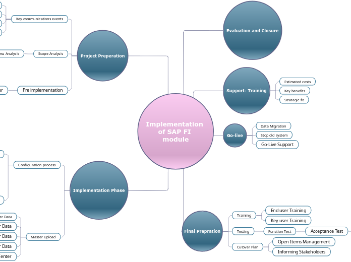 Implementation of SAP FI module