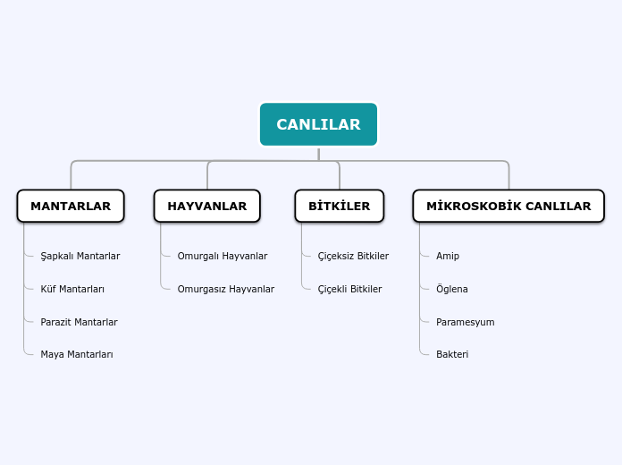 Organigram