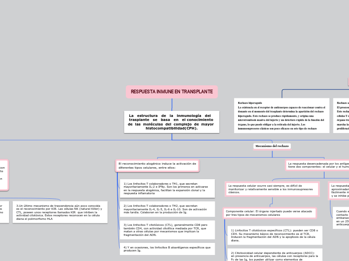 Organigrama arbol