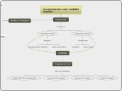 la organización como realidad humana