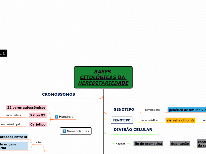 BASES CITOLÓGICAS DA HEREDITARIEDADE