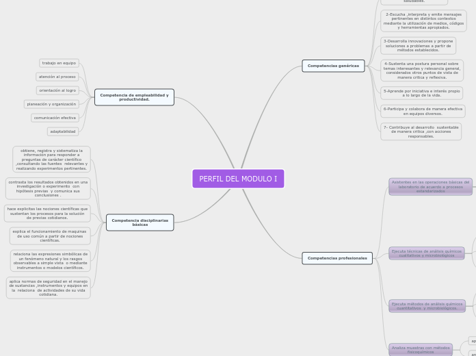 PERFIL DEL MODULO I